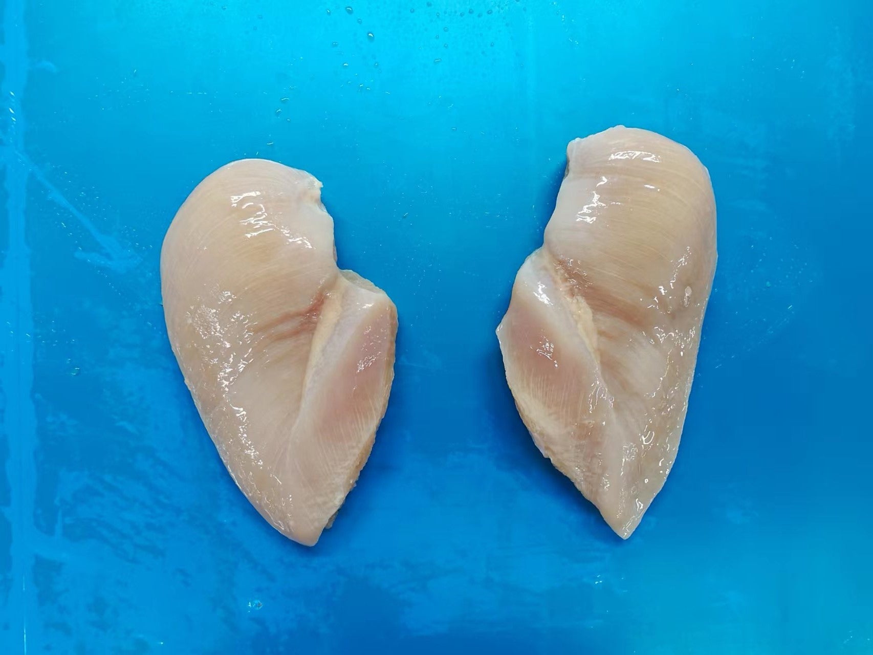 Frozen Premium Boneless Chicken Breast