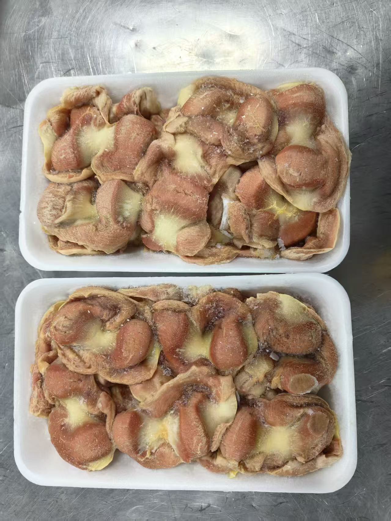 Frozen Chicken Gizzard