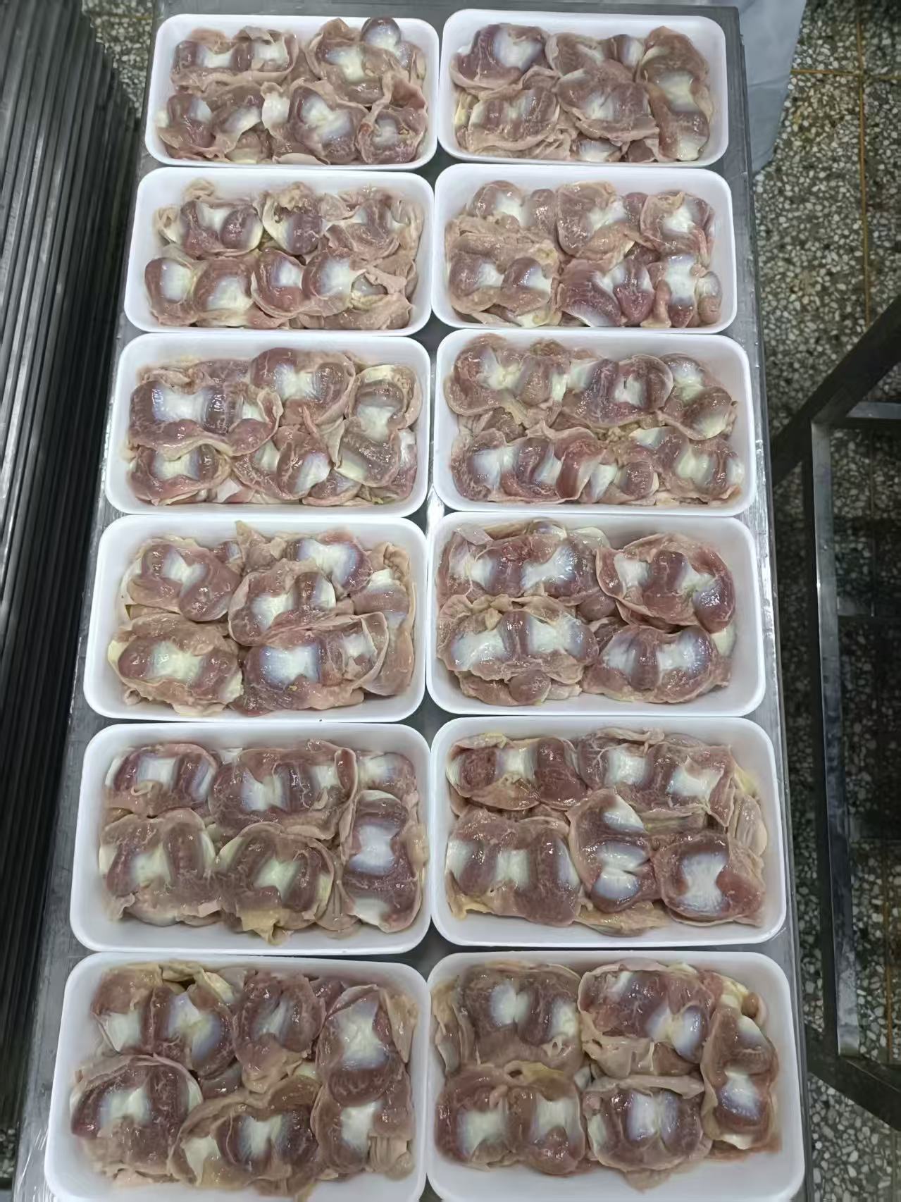 Frozen Chicken Gizzard