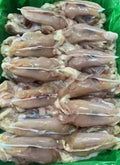 Frozen Chicken inner fillet
