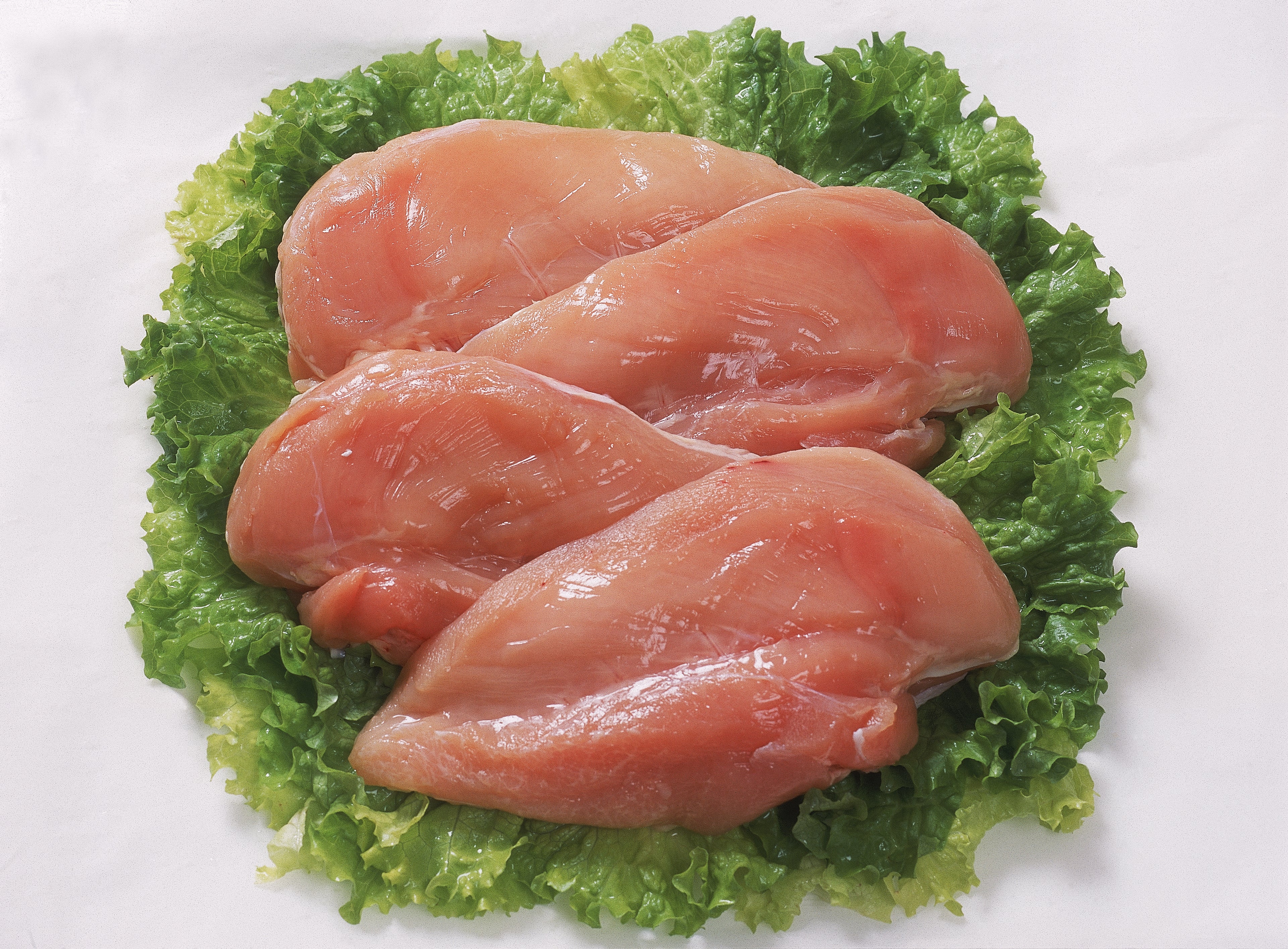 Frozen Premium Boneless Chicken Breast